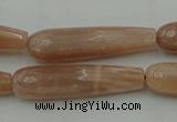 CTR44 15.5 inches 10*40mm faceted teardrop moonstone beads