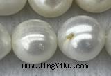 FWP131 15 inches 12mm - 13mm potato white freshwater pearl strands