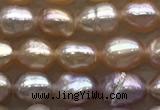 FWP160 14.5 inches 4.2mm rice purple freshwater pearl strands