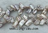 FWP414 Top-drilled 12*16mm - 13*18mm biwa freshwater pearl beads