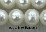 FWP77 15 inches 7mm - 8mm potato white freshwater pearl strands