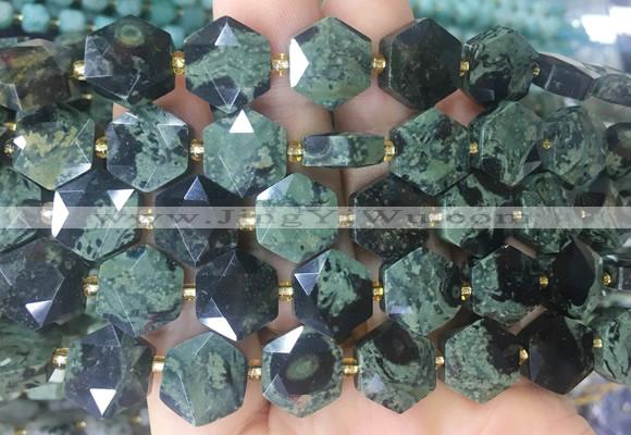 HABS24 15 inches 12mm faceted hexagon kambaba Jasper beads wholesale