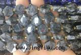 HABS29 15 inches 12mm faceted hexagon black labradorite beads wholesale