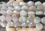 HABS30 15 inches 12mm faceted hexagon moonstone beads wholesale
