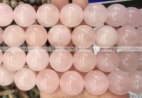 LSBS03 15 inches 20mm round rose quartz beads wholesale