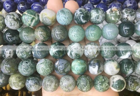 LSBS197 15 inches 16mm round tree agate gemstone beads wholesale
