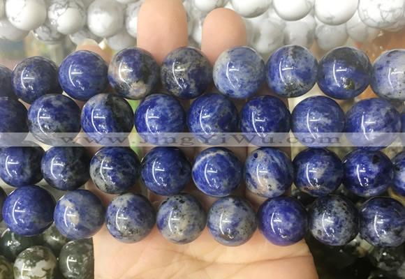 LSBS202 15 inches 16mm round sodalite gemstone beads wholesale