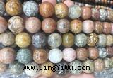 LSBS227 15 inches 16mm round ocean jasper gemstone beads wholesale