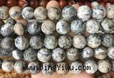 LSBS979 15 inches 16mm round sodalite gemstone beads wholesale LSBS979 15 inches 16mm round sodalite gemstone beads wholesale