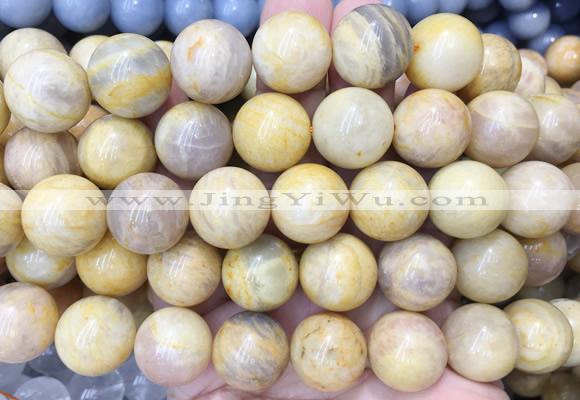 LSBS98 15 inches 16mm round yellow sunstone gemstone beads wholesale