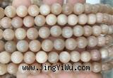 MSBS18 15 inches 10mm round moonstone gemstone beads wholesale