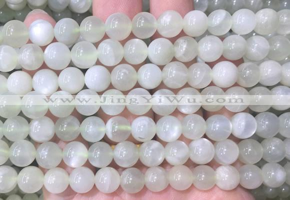 MSBS32 15 inches 8mm round green moonstone gemstone beads wholesale
