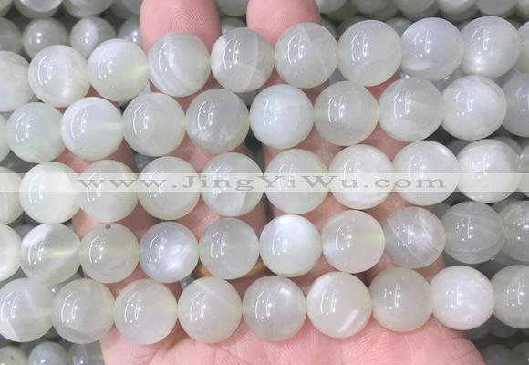 MSBS34 15 inches 12mm round green moonstone gemstone beads wholesale
