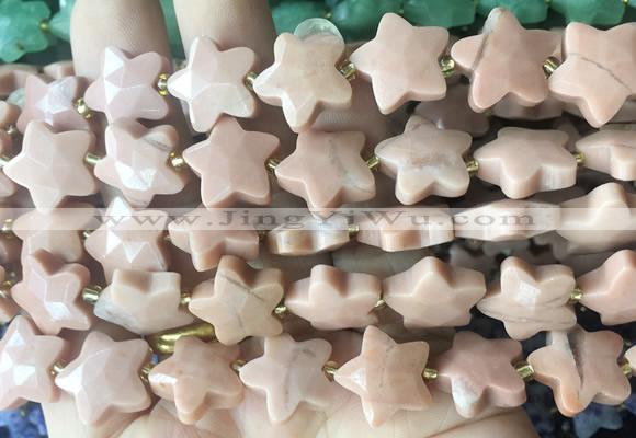 RGBS58 15 inches 14mm faceted star jasper gemstone beads wholesale